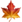 Dried maple leaf-often associated with Canada