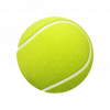 single-tennis-ball-on-white-background_153563-1387-removebg-preview.png