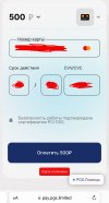 IMG_2900.jpeg