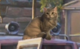 1705775100671.png