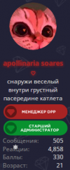 пиар 2.png