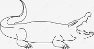 pngtree-crocodile-line-art-for-coloring-book-vector-illustration-png-image_6650722.png