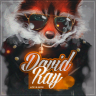 David Ray