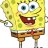 sponge.bob