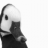 goose_from_krd